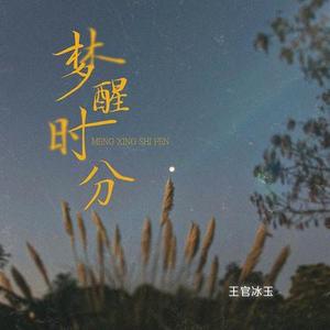 梦醒时分