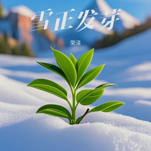 雪正发芽