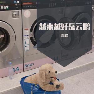 你单身的原因（翻自 锋锋）