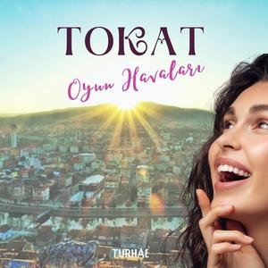 Sulu Sokak Taşları