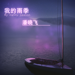 我的雨季