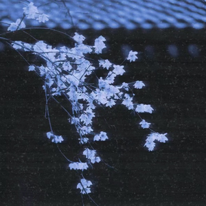 不再去访问你的朋友圈