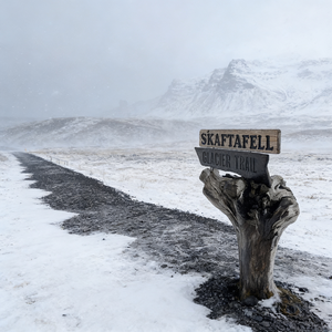 真心真的能换来真心吗