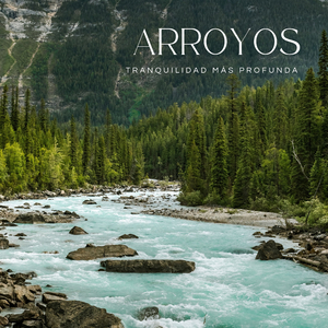 Disposición Del Líquido