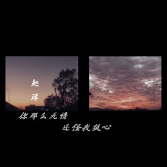 你那么无情还怪我狠心 (女声版)