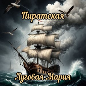 Пиратская