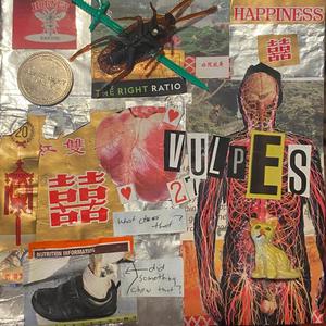 Powder by Silver Fins