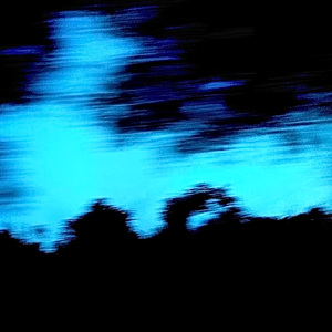 行李（The Trunk）