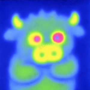 陪你走过这个冬天。