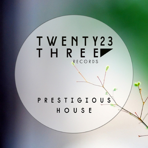 Flyga (Ensaime Remix)