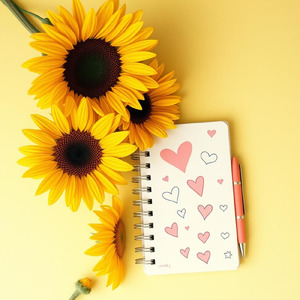 ひまわりスケッチ