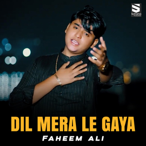 Dil Mera Le Gaya