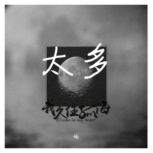 太多