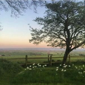 "至死不渝" iann dior x juice wrld Type beat