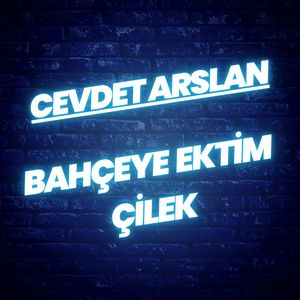 Bahçeye Ektim Çilek