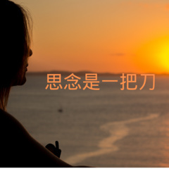 我爱漂亮的女孩 (DJ版)