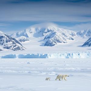 얼음 왕국의 서사 (Saga of an Ice Kingdom)