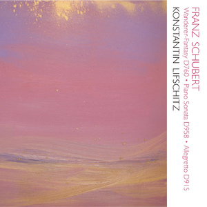 ピアノ・ソナタ 第19番 ハ短調 D958 第1楽章