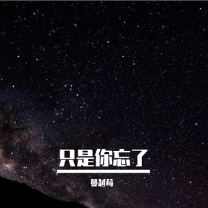 说谎 mix（翻自 林宥嘉）