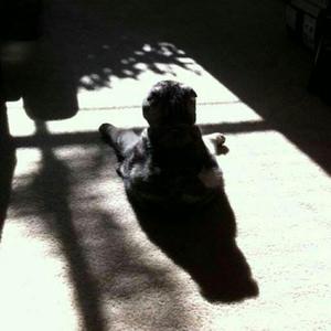 办不到原创-都是兄弟-0