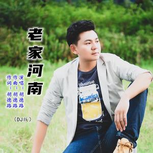 老家河南 (DJ版)