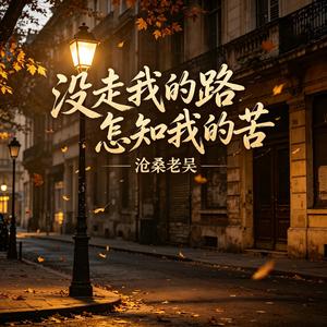 没走我的路怎知我的苦(余生要把自己渡）