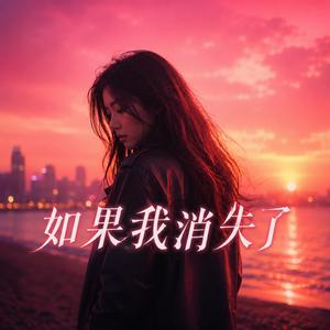 如果我消失了
