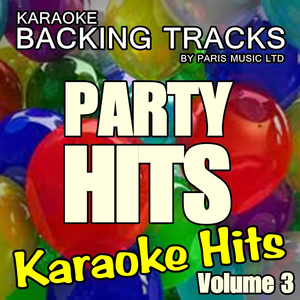 Y.M.C.A (Originally Performed By The Village People) [Karaoke Version]