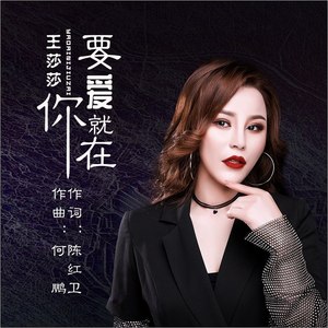 要爱你就在(DJ版)