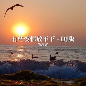 有些爱情放不下（DJ车载版）