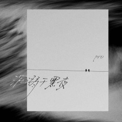 沉溺于黑夜 (DJheap九天版)