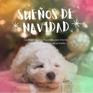 Cómo Relajarse en Casa