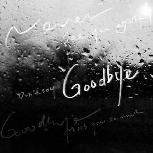 就让这大雨全部落下