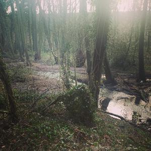 If music is the food of love