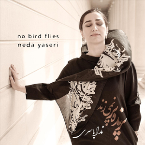 No Bird Flies