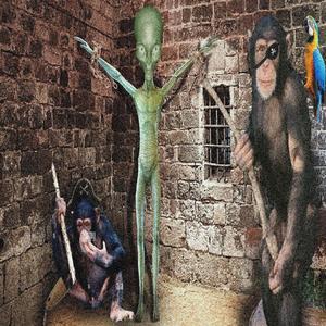 **** That Stupid Alien