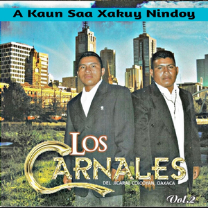 Ñelo'o Sandavi Yu'u