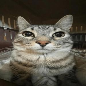 Drill đợi tháng 13 - Prod.MEDIOSA (等十三月 RMX)