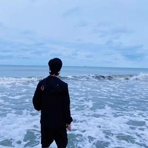 再见宁静海(Cover-陈卓贤)