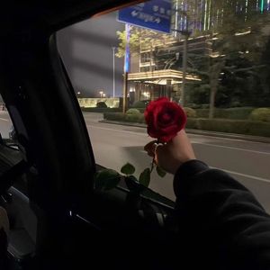 《遗憾的诗篇》