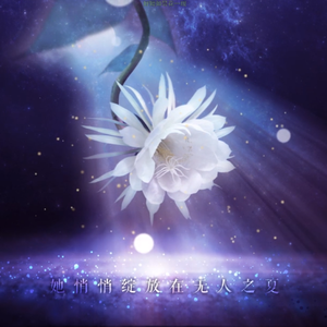 【元气小冰】夜昙 【时之歌Project】【特别曲】