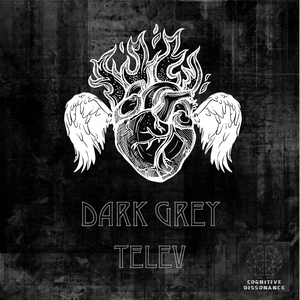 Dark Grey (Telev Remix)