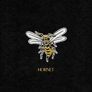Hornet
