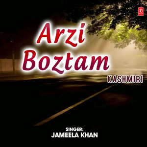 Arzi Boztam