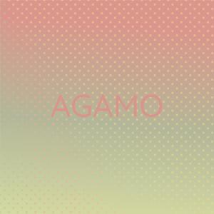 I Got a Rocket in My Pocket