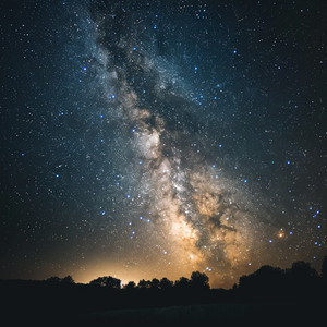 Melodías Conscientes Para Los Seres Presentes