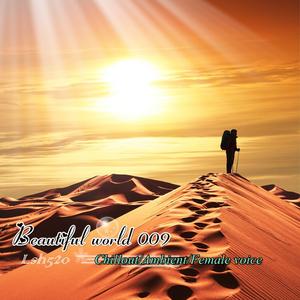 Lucid (Kopi Luwak Smooth Chill