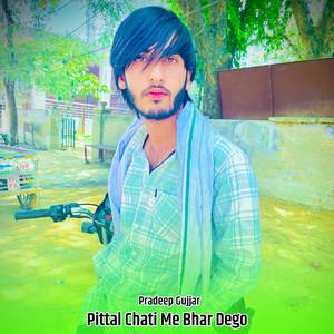 Pittal Chati Me Bhar Dego