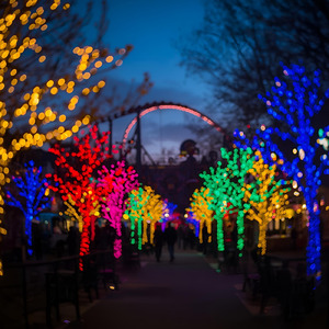 イルミネーションの中で君を見つけた