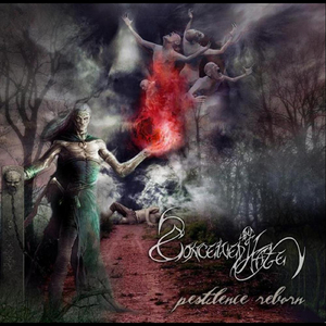 Vengeance Is the Law